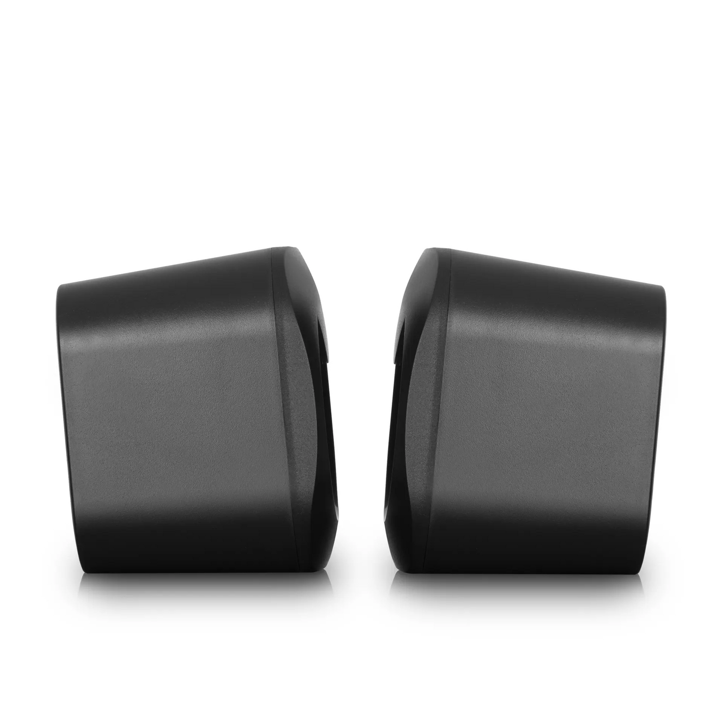 Parlante para PC RGB Brain ENS 301