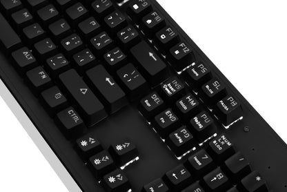 Teclado Gamer Mecánico Rainbow LED Kingdom ENK 1001